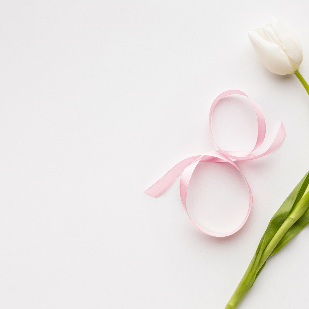 Тюльпан для любимой на 8 марта на розовом фоне