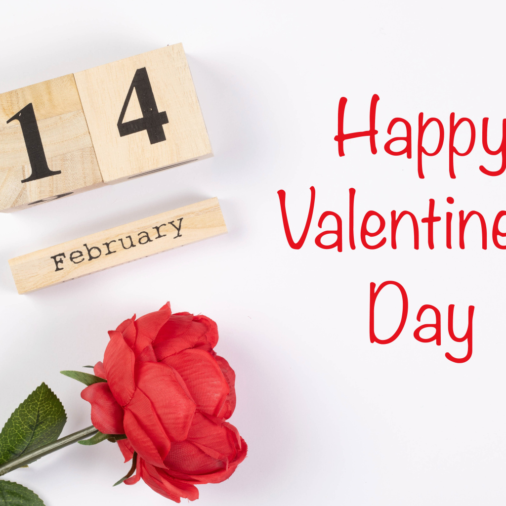 Красивая открытка с розой на белом фоне на День влюбленных