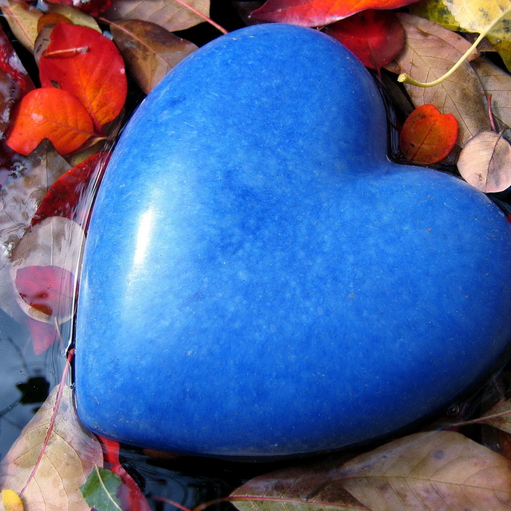 Большое голубое сердце лежит на листве