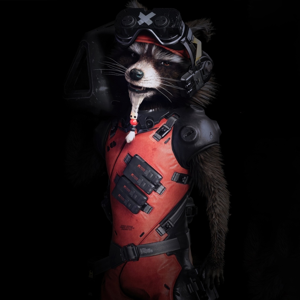 Енот в костюме на черном фоне