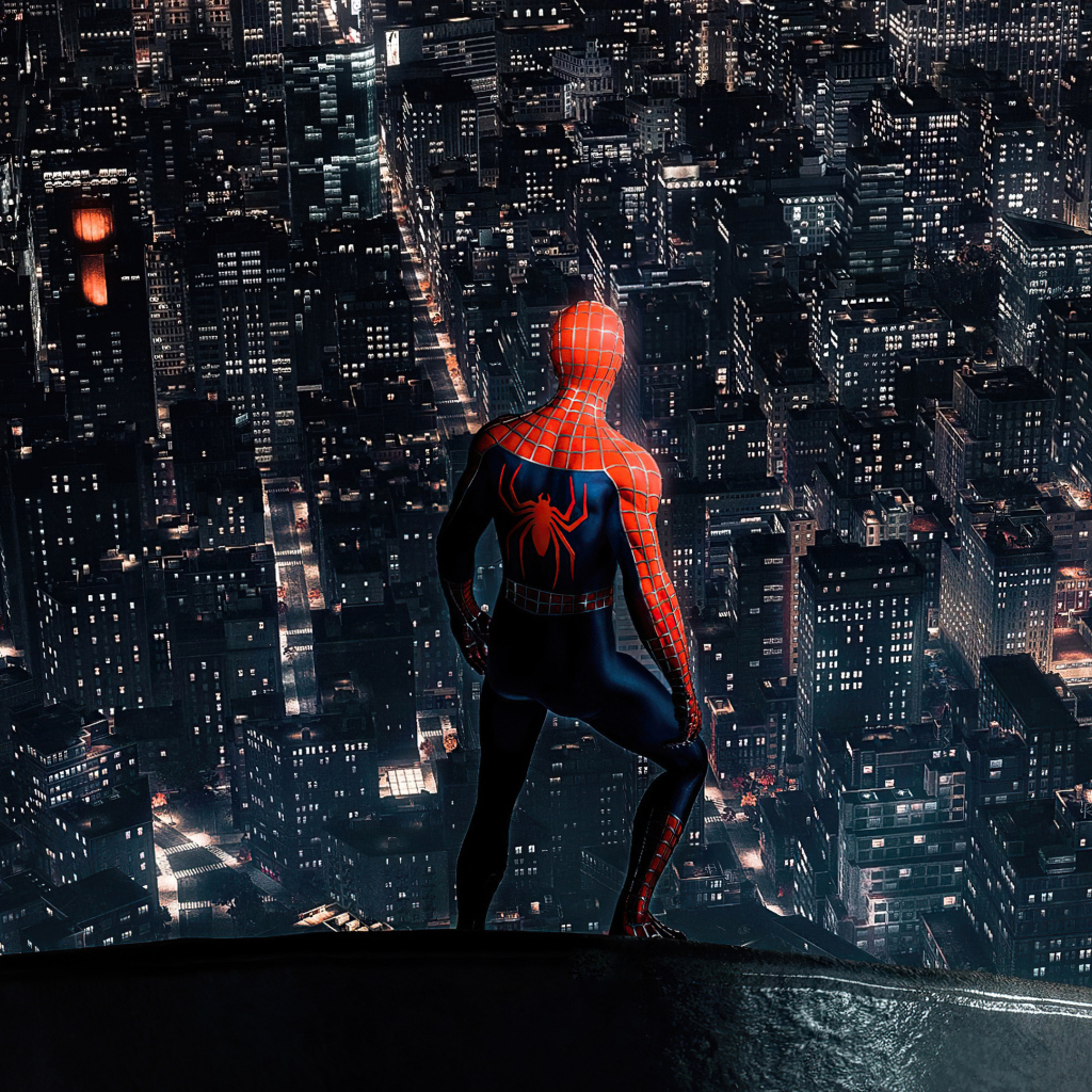 Человек паук смотрит на  ночной город