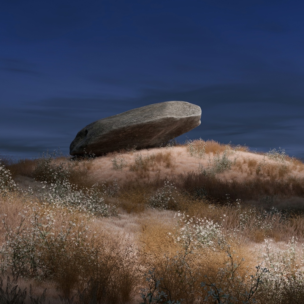 Большой камень лежит на траве ночью