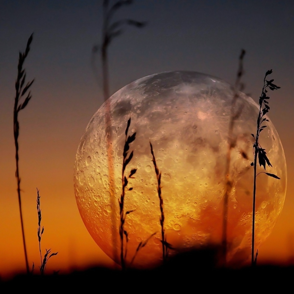 Большая холодная луна над полем