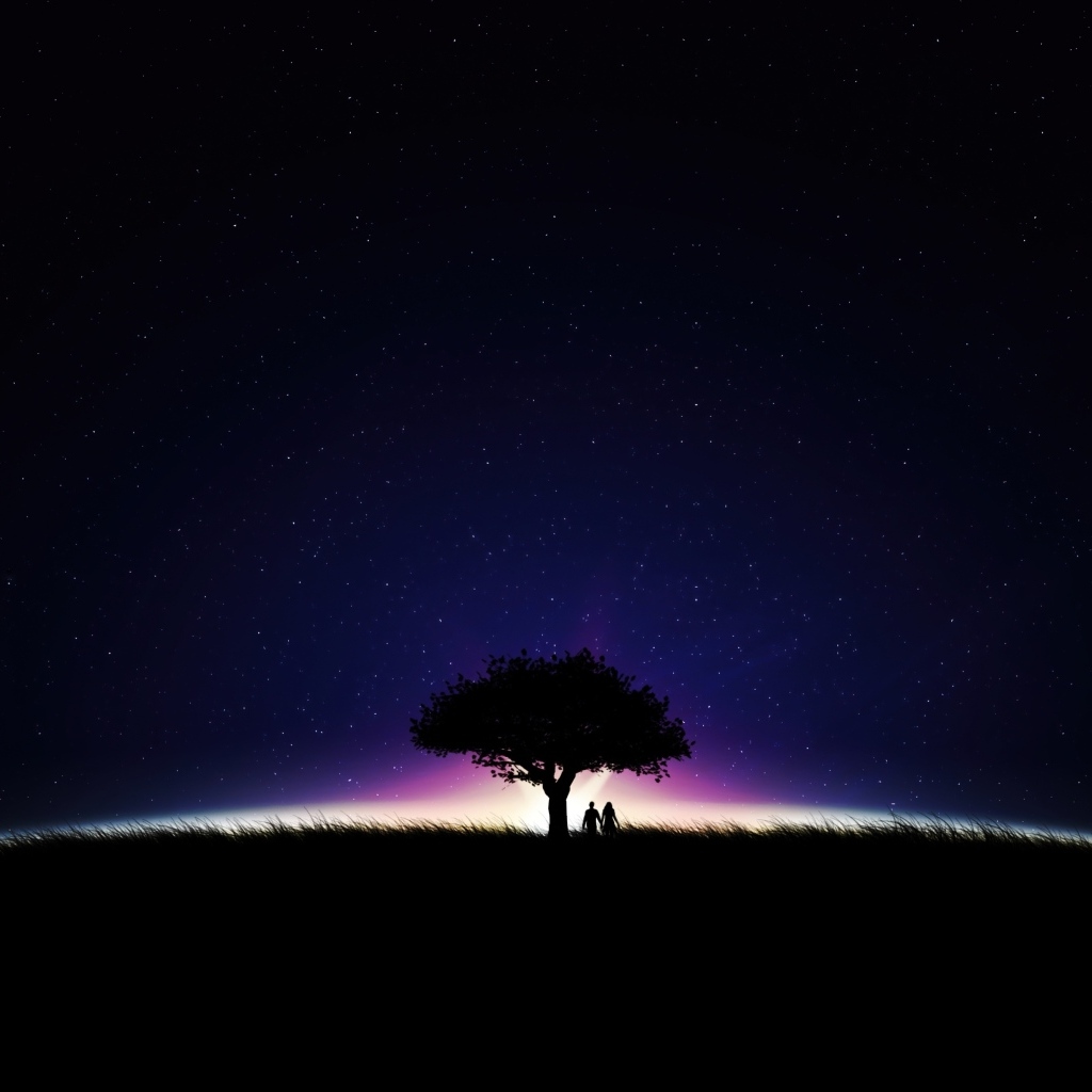 Большое дерево на фоне неба ночью