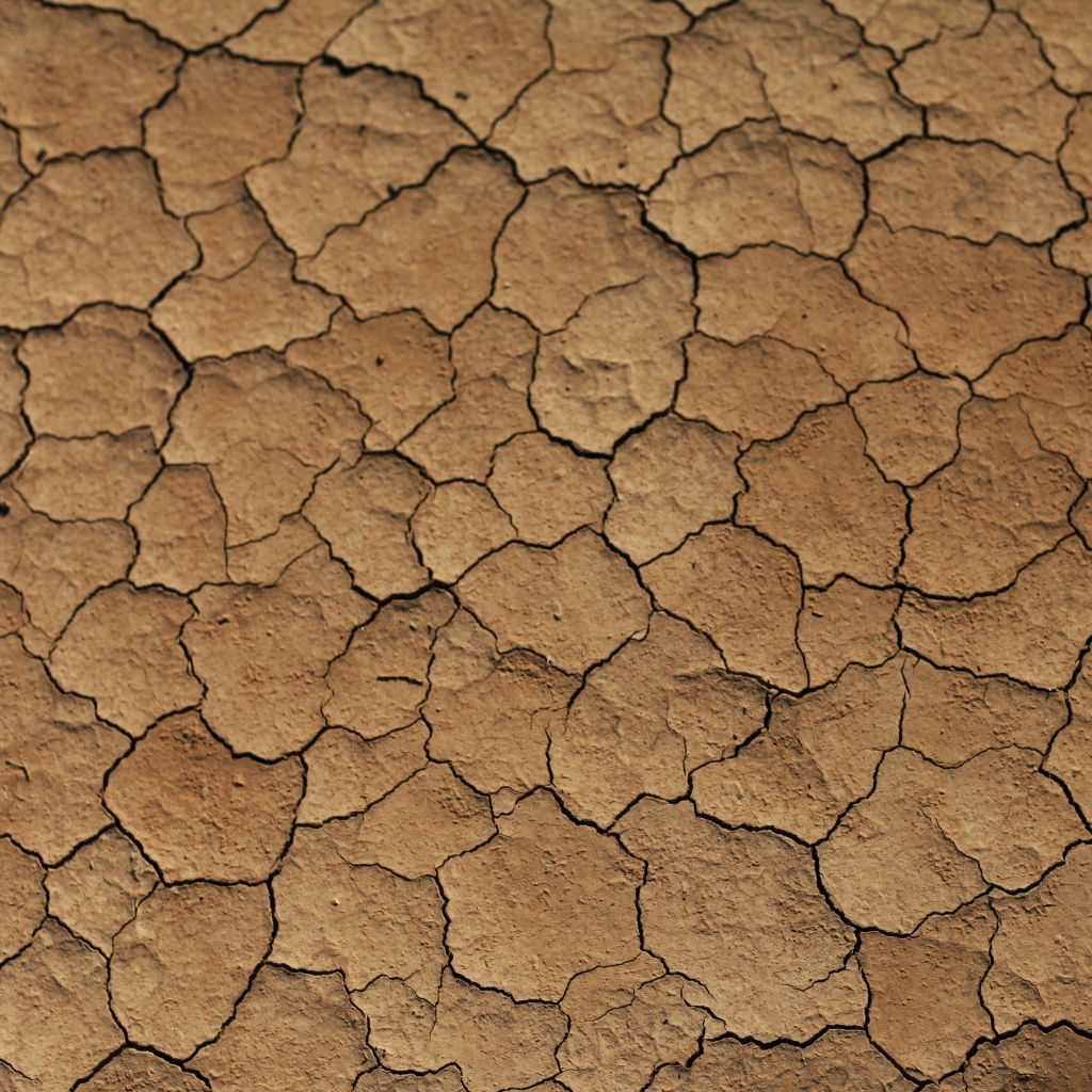 Трещины на сухой земле 