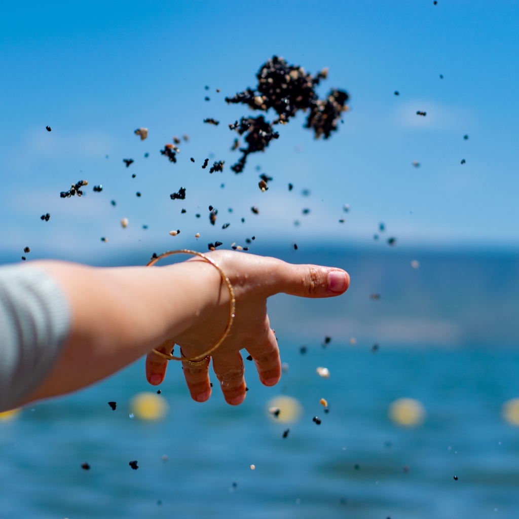 Девушка бросает корм в воду