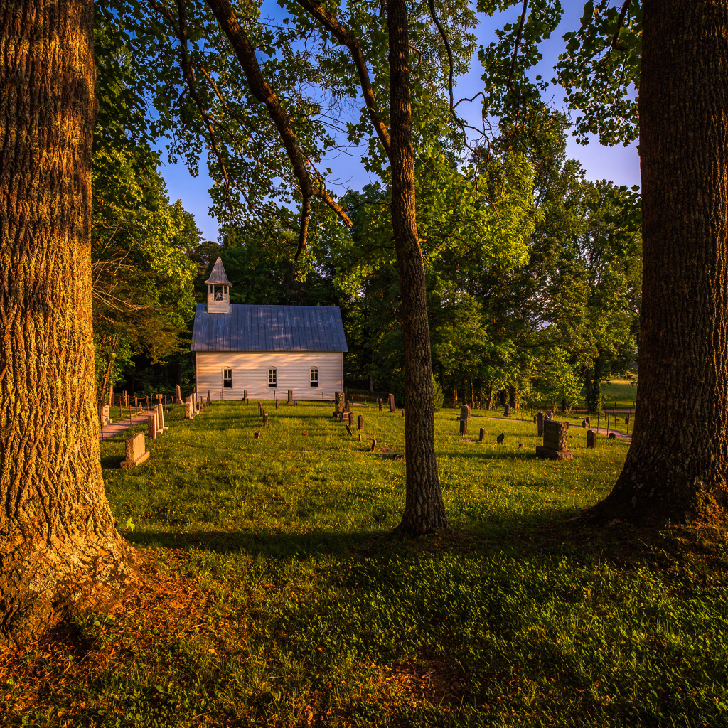 Дом в парке с зеленой травой летом