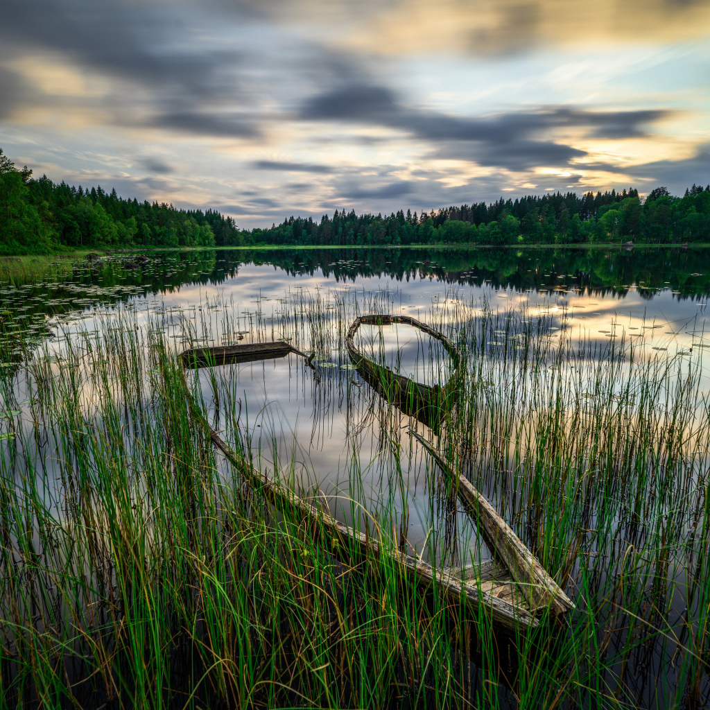 Старая затонувшая лодка в пруду