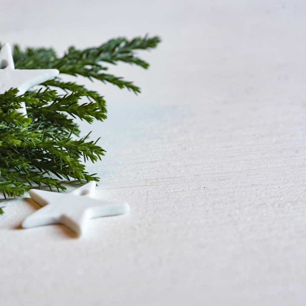 Звезды и ветка ели на белой поверхности 