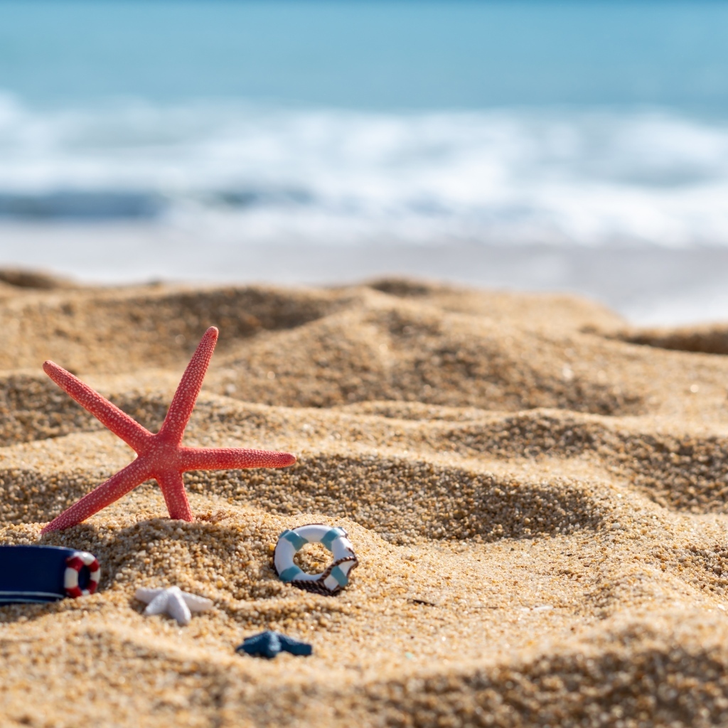 Красная морская звезда и игрушки на песке у моря летом