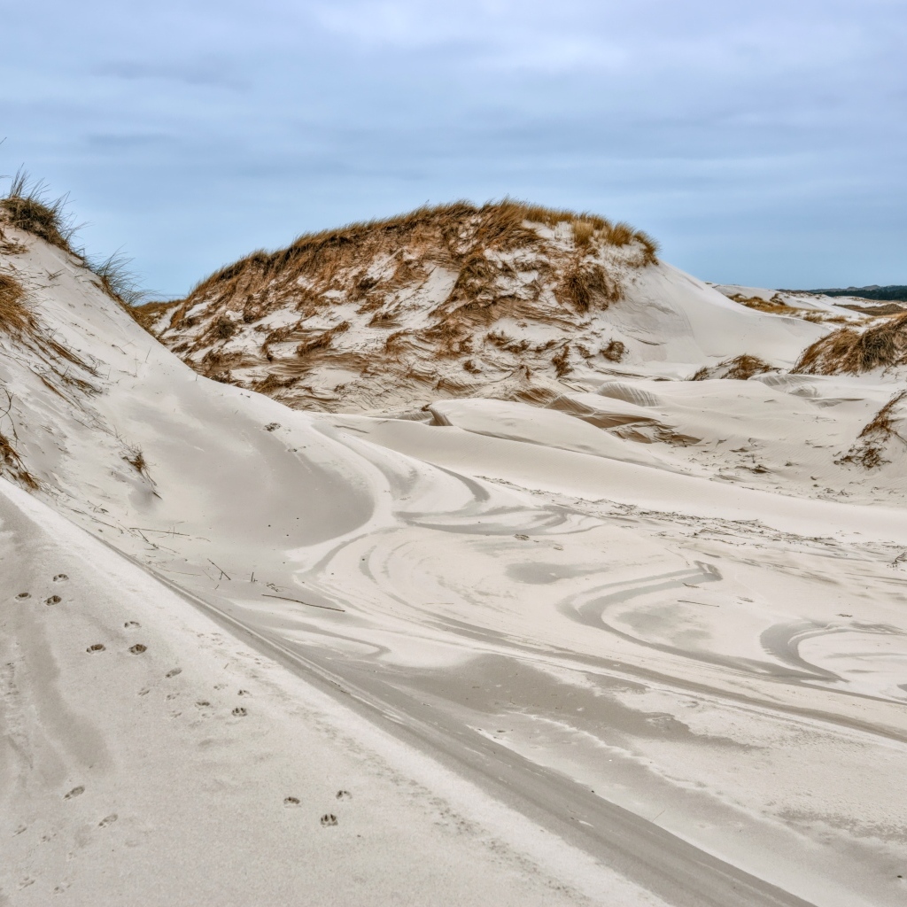 Горячий песок в дюне