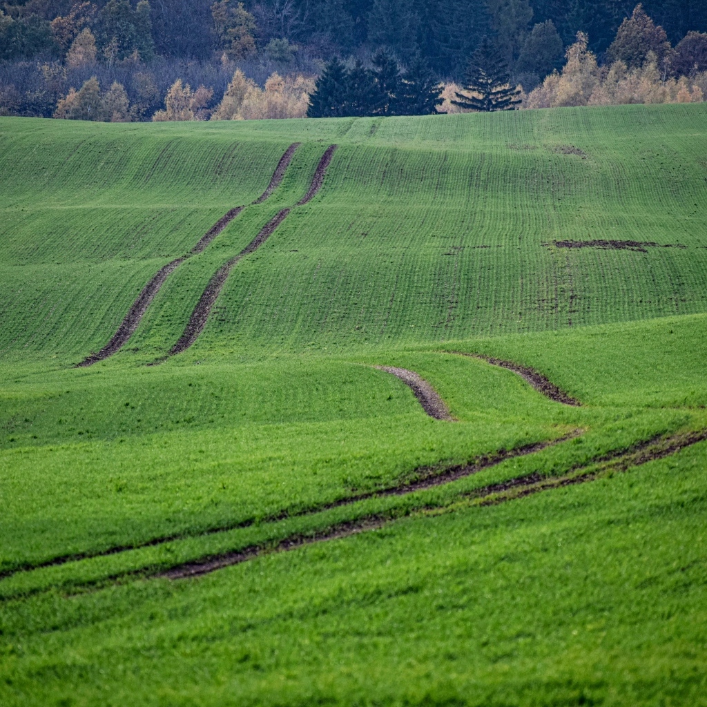 Красивый вид за зеленые поля весной