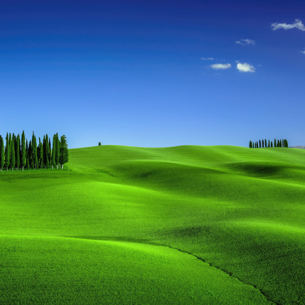 Зеленое волнистое поле под голубым небом