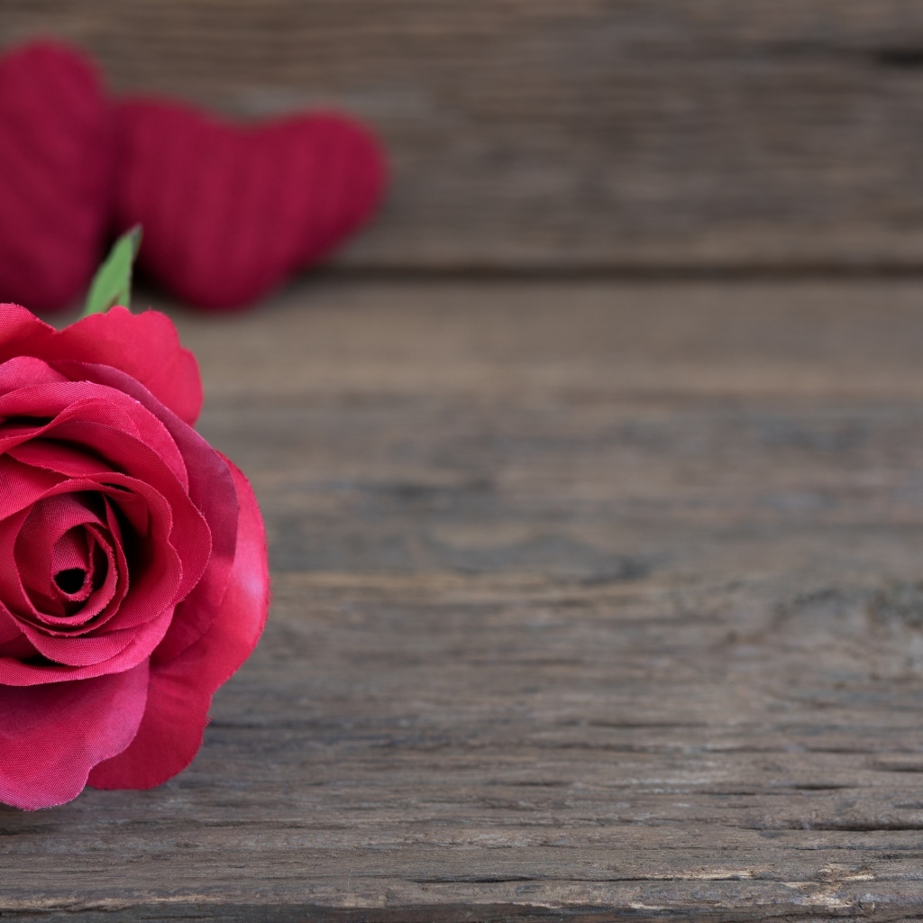 Искусственная роза на деревянном фоне с сердечками