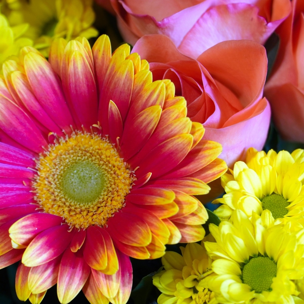 Красивый букет из цветов хризантемы и розы