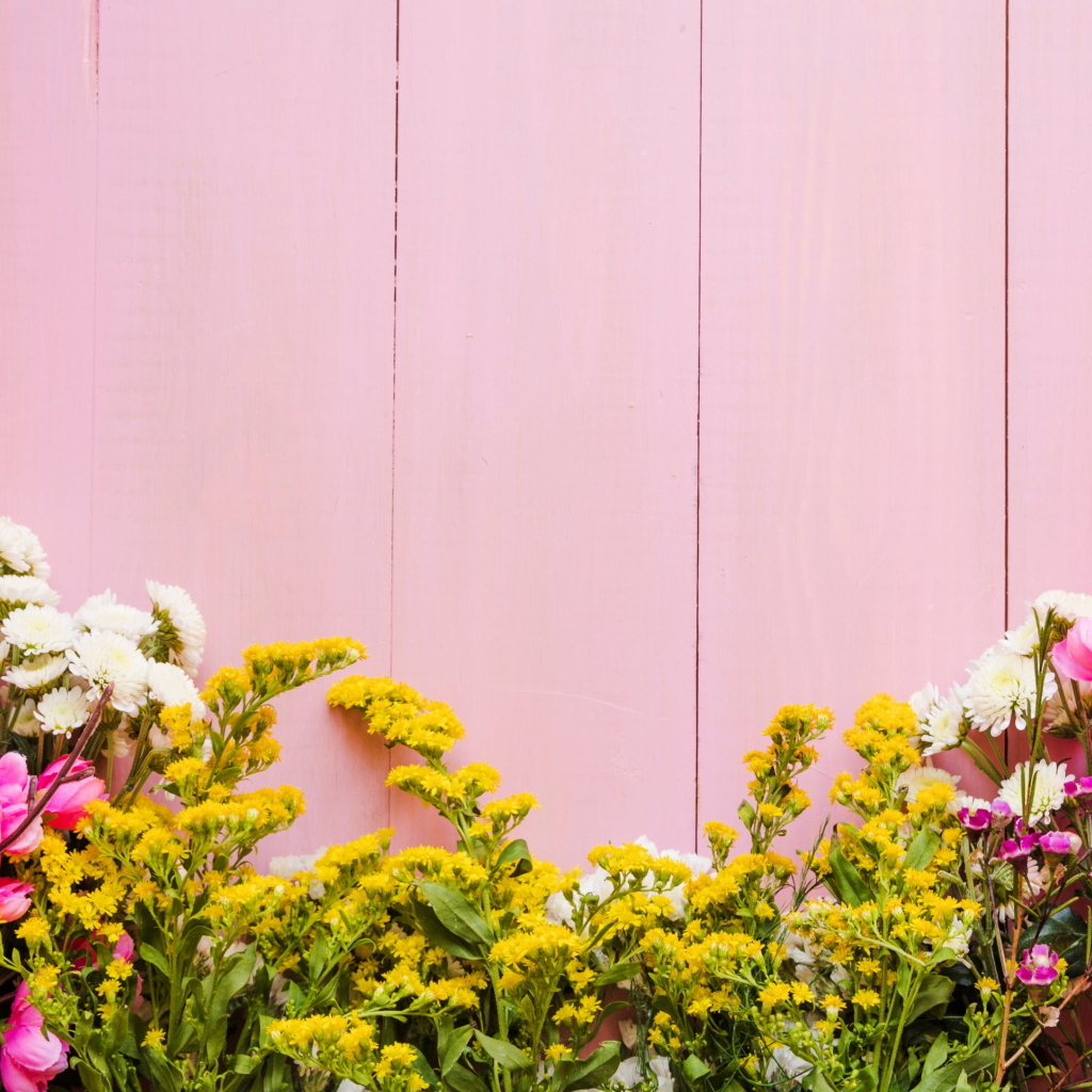 Красивые цветы на розовом фоне