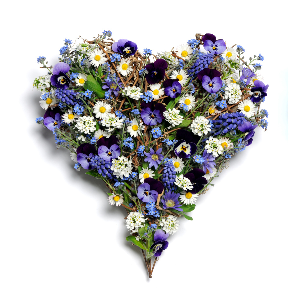 Красивое сердце из цветов на белом фоне