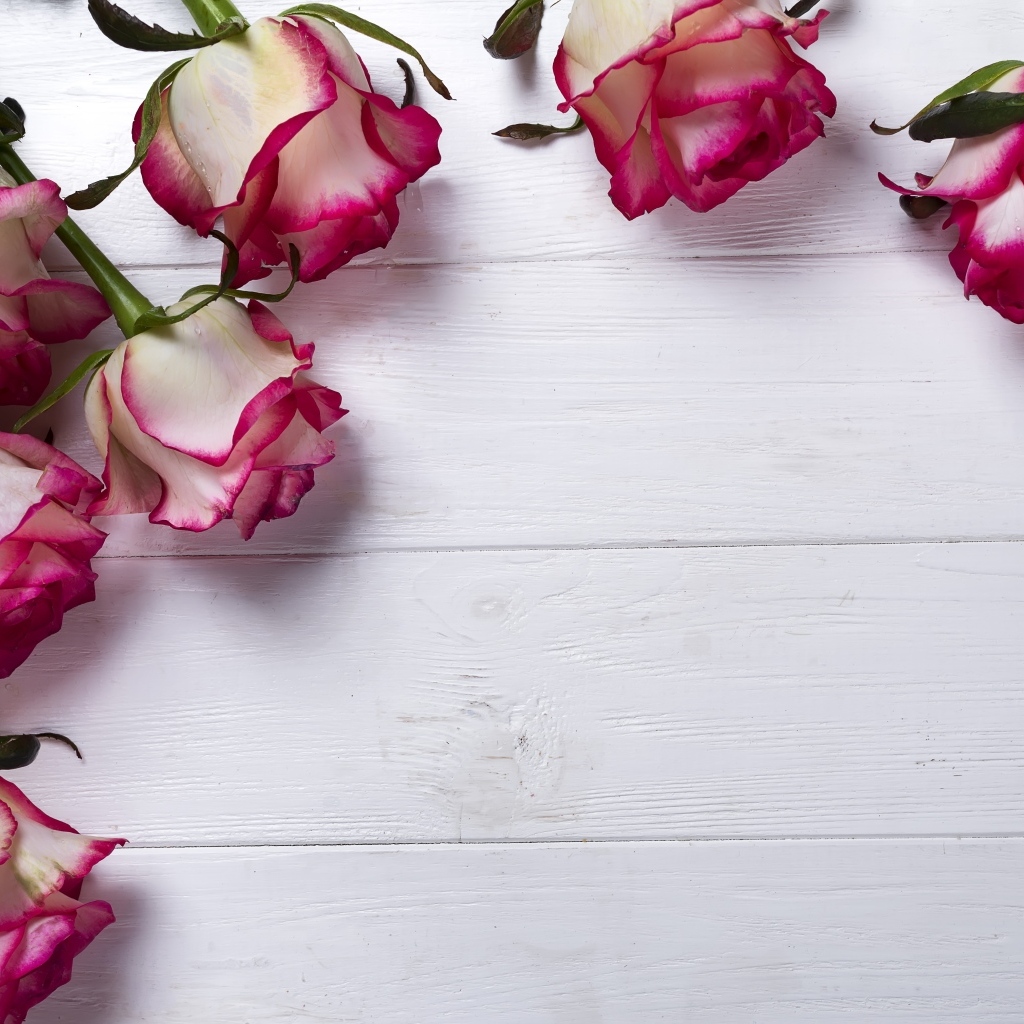 Красивые розы на деревянном фоне
