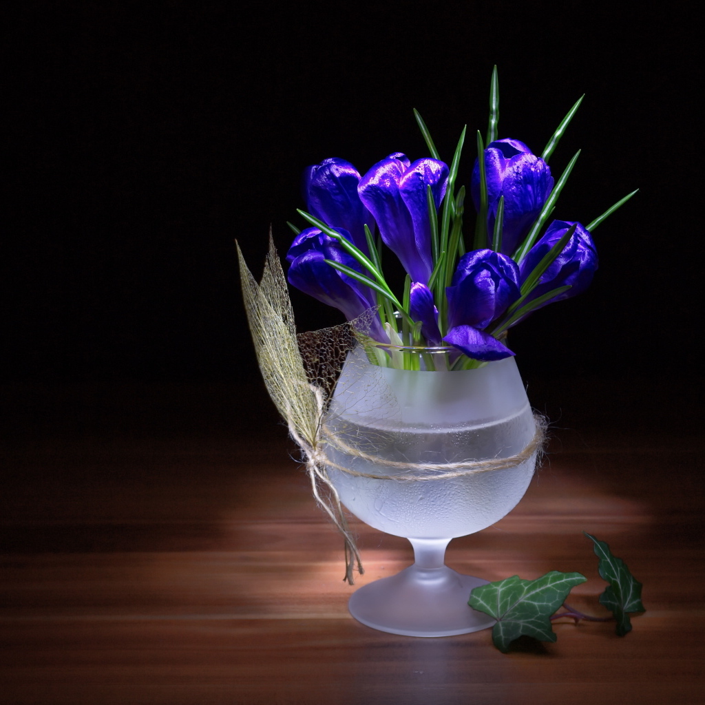 Синие крокусы в бокале на столе