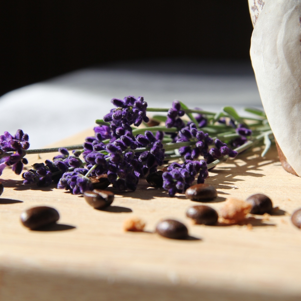 Синие цветы лаванды с зернами кофе