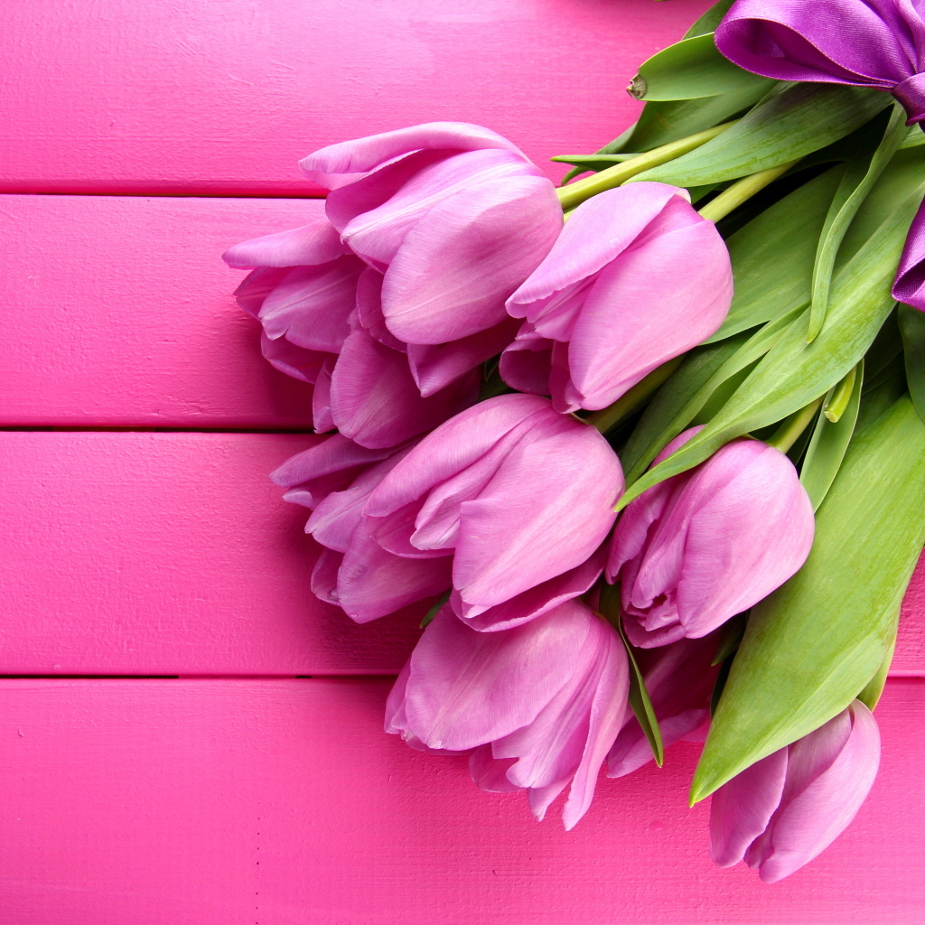 Букет красивых тюльпанов на розовом фоне