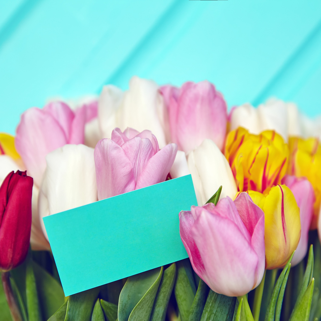 Букет разноцветных тюльпанов с открыткой