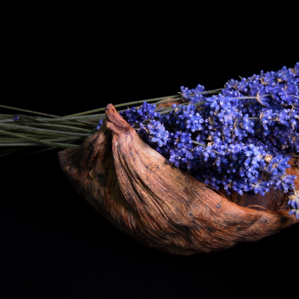 Букет цветов лаванды в коряге на черном фоне