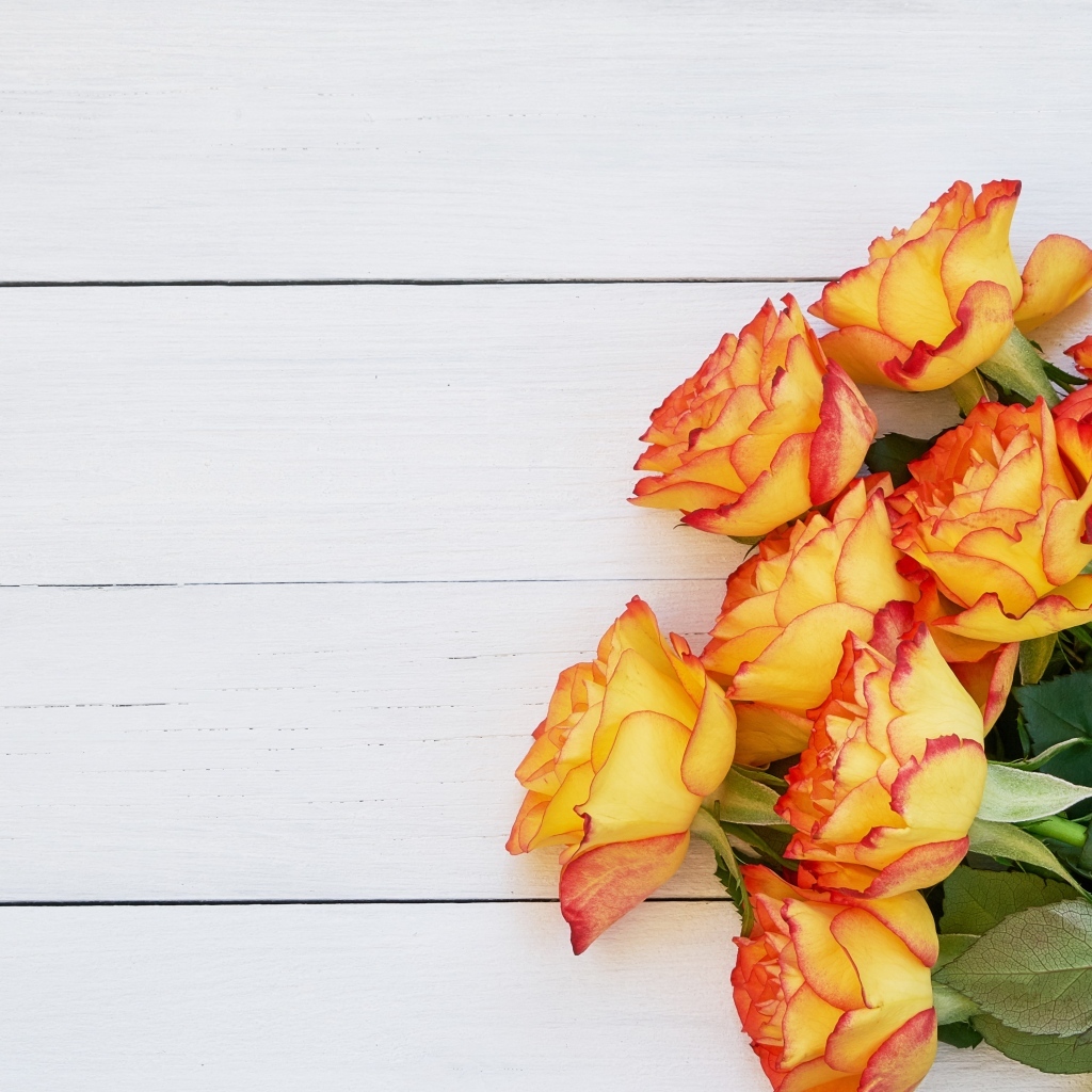 Букет оранжевых роз на белом деревянном фоне