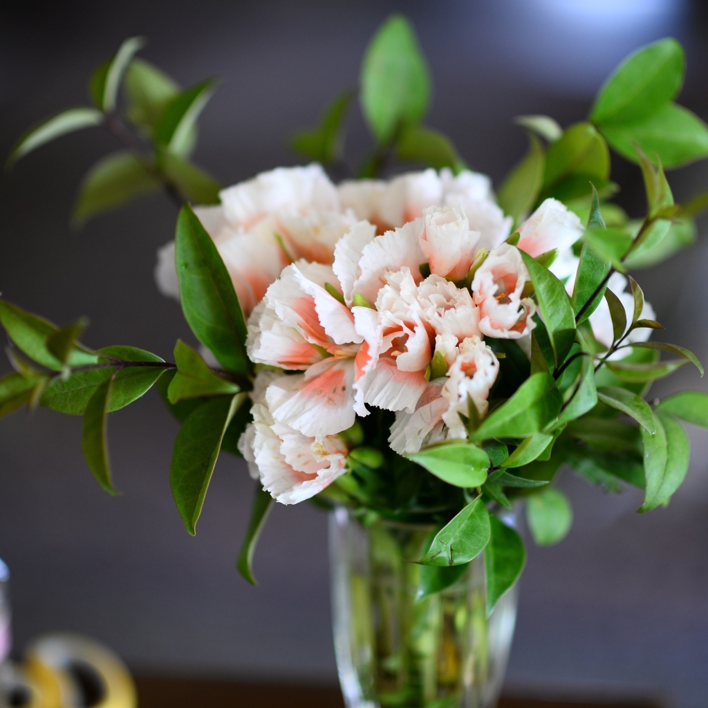 Букет розовых гвоздик  с зелеными листьями в вазе