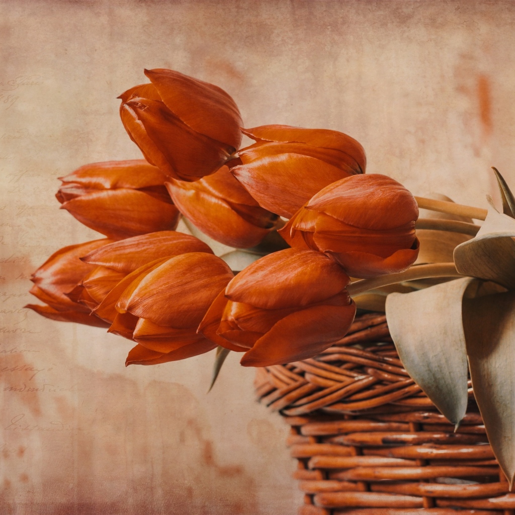 Букет красных тюльпанов в корзине на столе