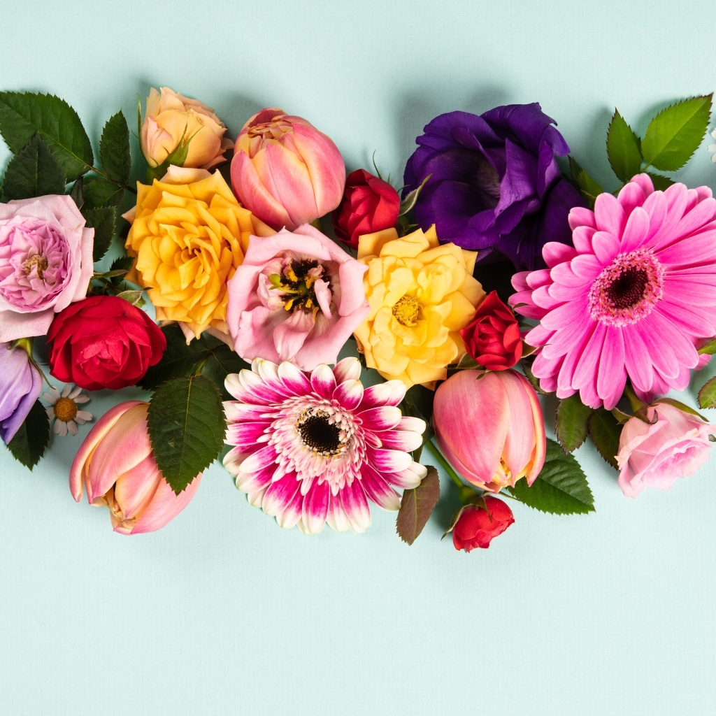 Композиция из разных цветов на сером фоне