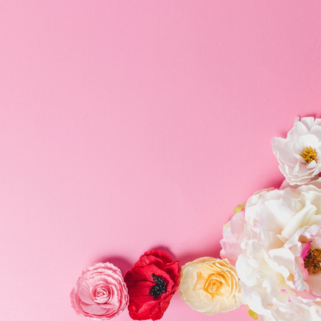 Нежные сорванные цветы на розовом фоне