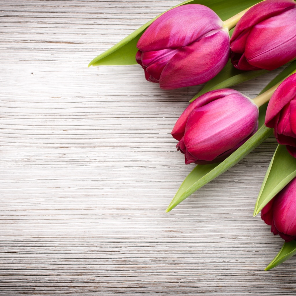 Пять розовых тюльпанов на деревянном фоне