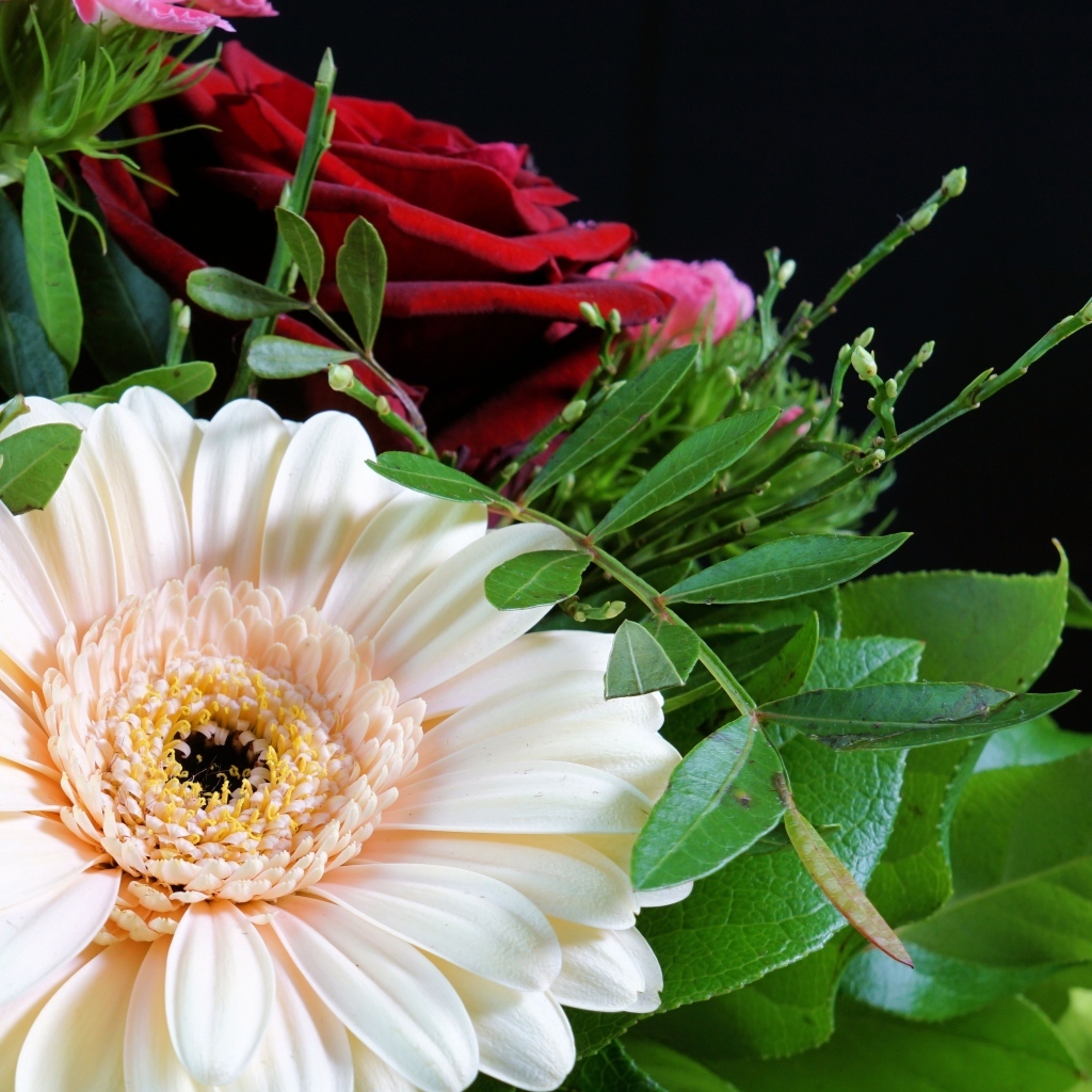 Цветок герберы в букете с красными розами