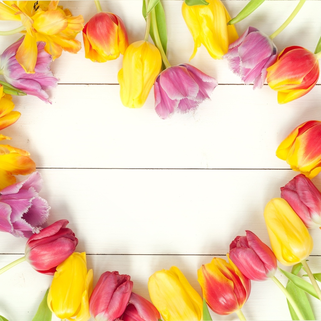 Сердце из разноцветных тюльпанов на белом столе