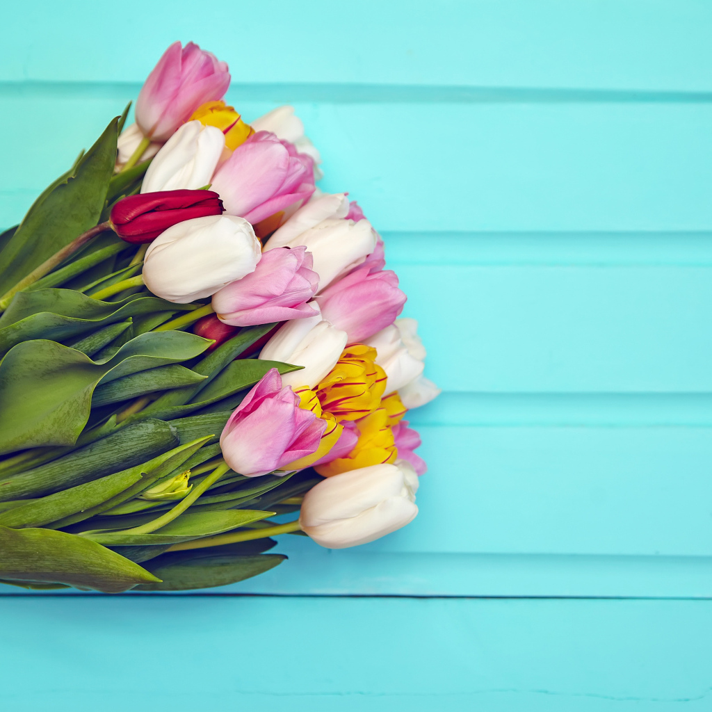 Большой букет разноцветных тюльпанов на голубом фоне