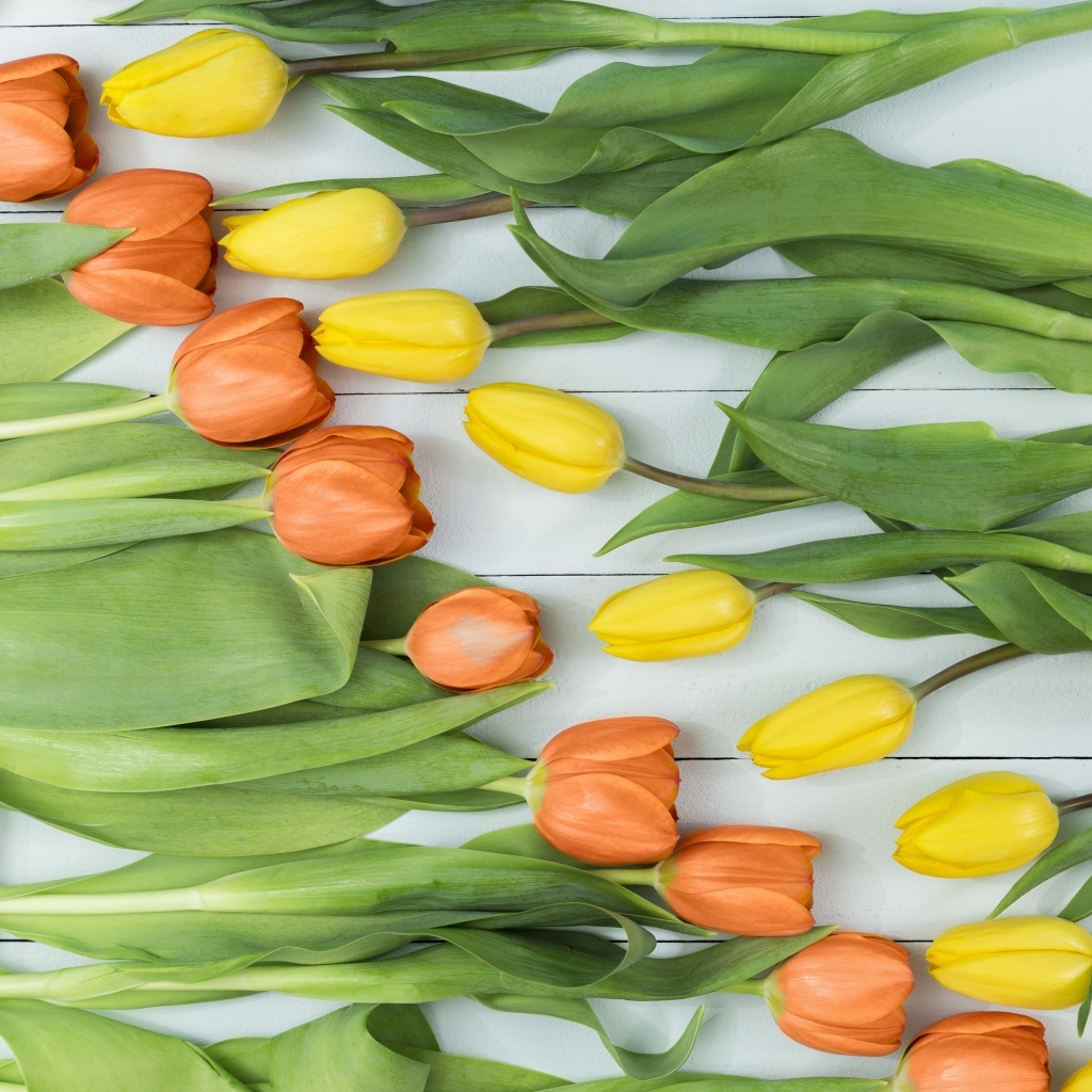 Оранжевые и желтые тюльпаны на столе
