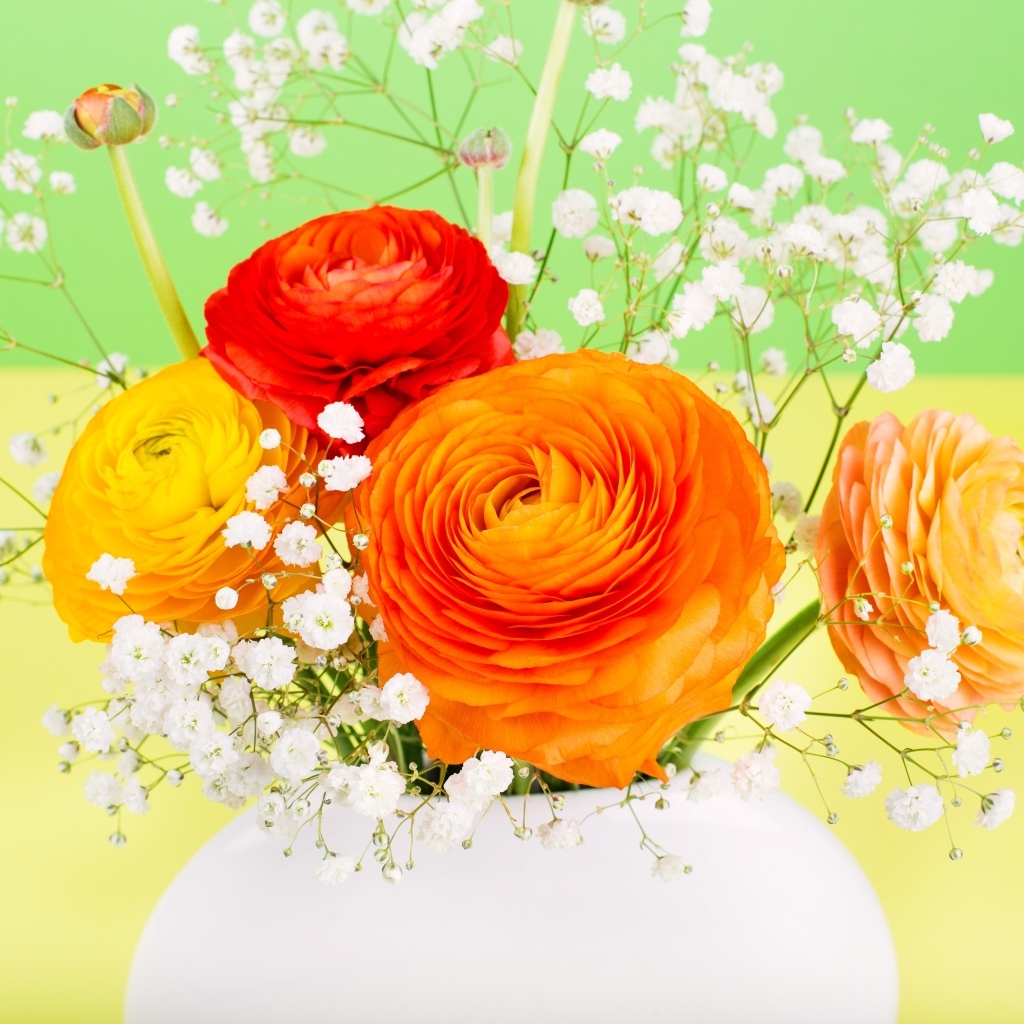 Оранжевые лютики с белыми цветами гипсофилы