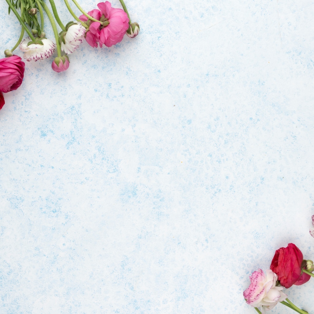 Розовые и красные лютики на голубом фоне