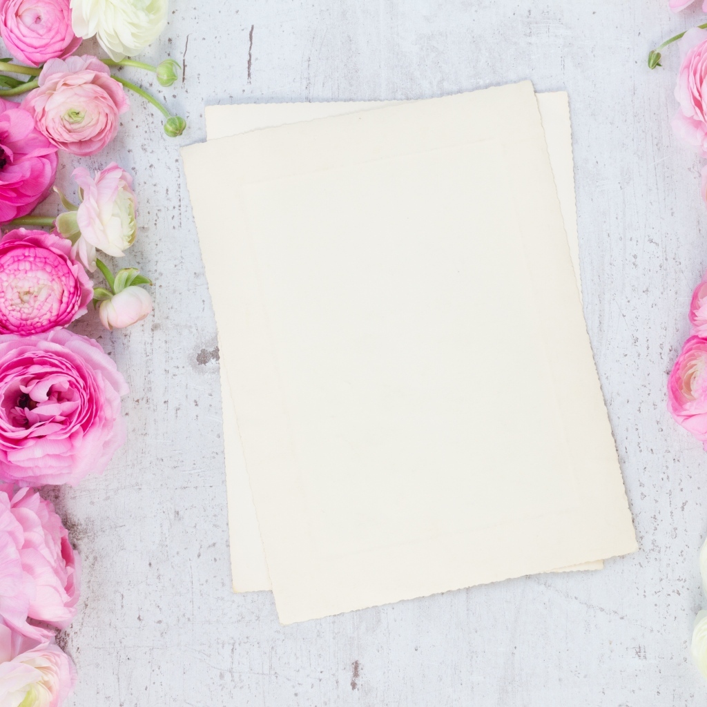 Розовые лютики с белыми листами на сером столе