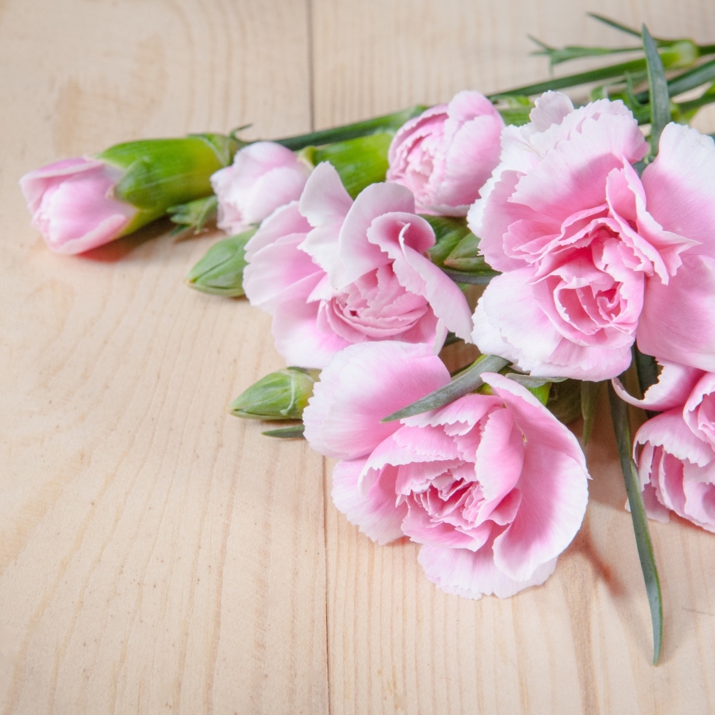 Розовые гвоздики на столе