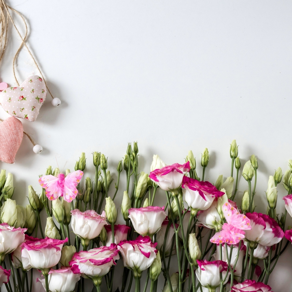 Розовые цветы эустомы с сердечками на сером фоне