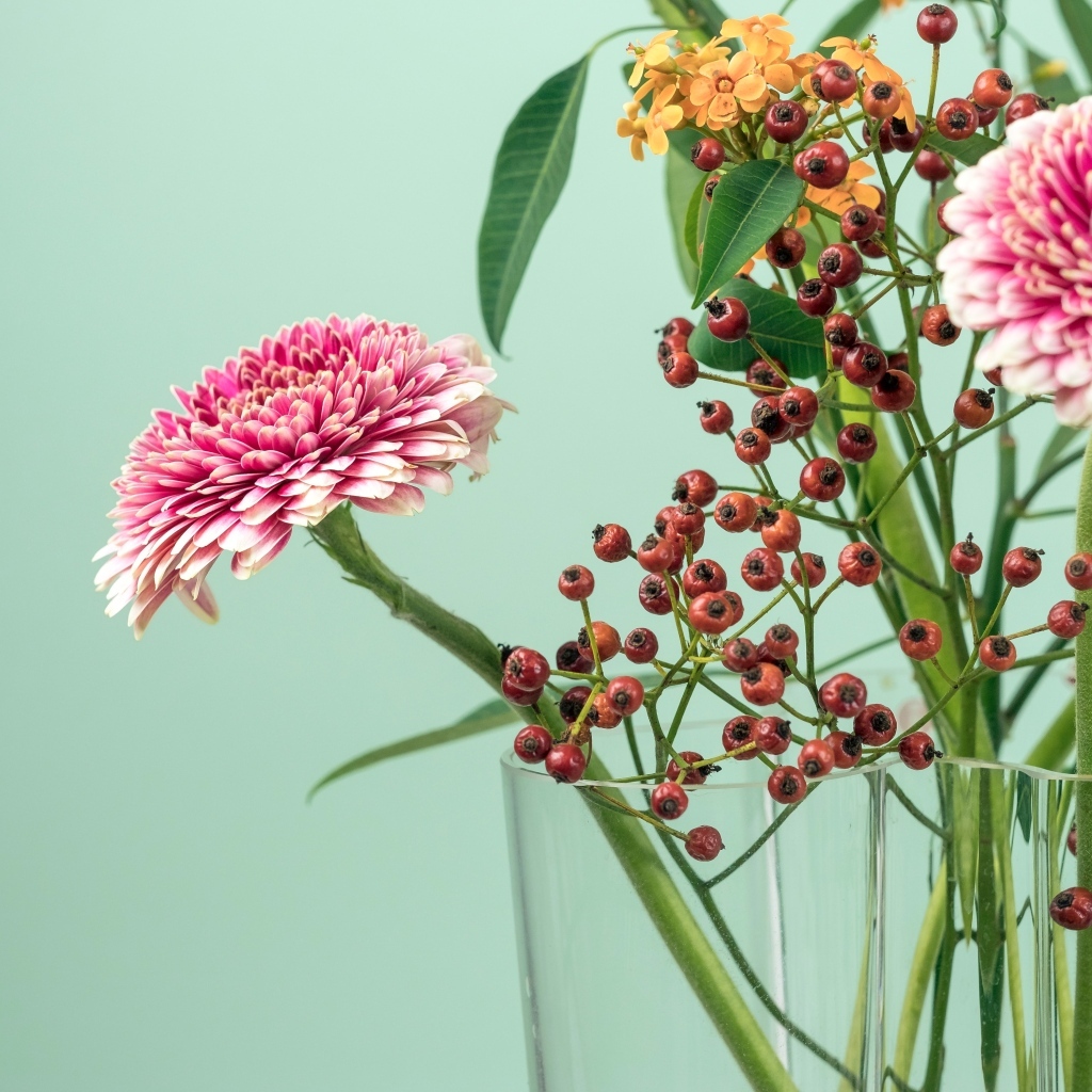 Розовые герберы с ветками на голубом фоне