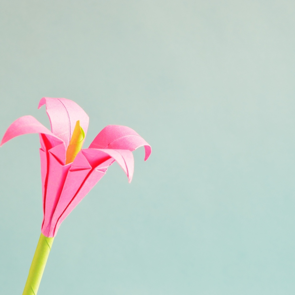 Розовый бумажный цветок на сером фоне