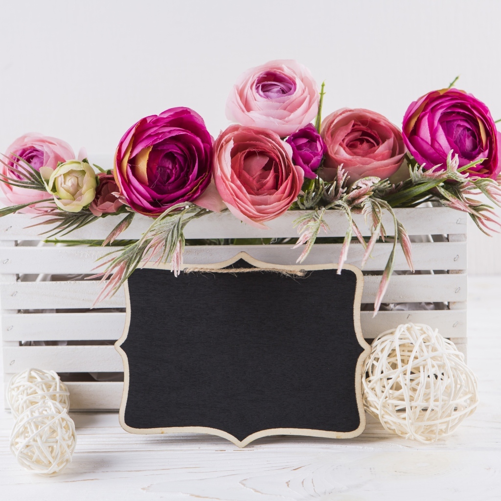 Розовые цветы лютика в белом ящике с рамкой