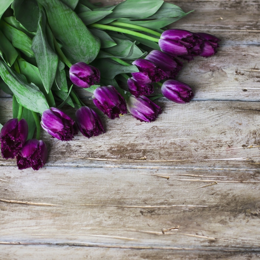 Фиолетовые тюльпаны на деревянном фоне