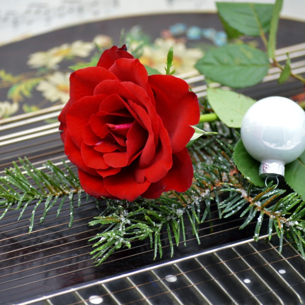 Красная роза с шариком и еловой веткой