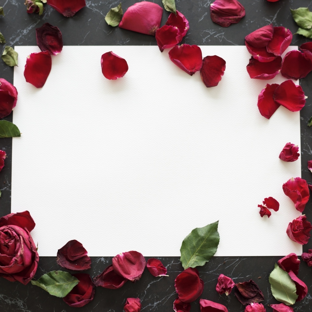 Лепестки розы с белым листом на столе