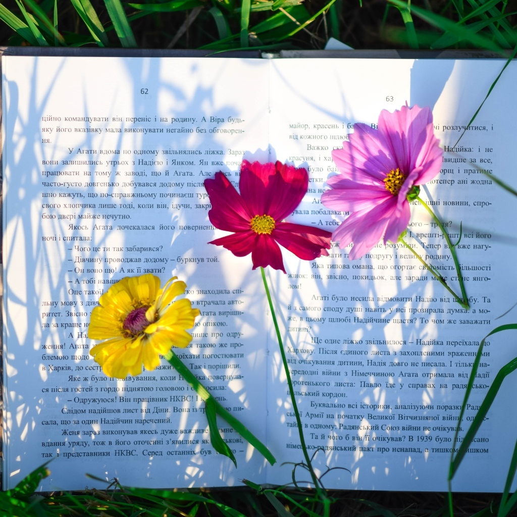 Три цветка лежат на книге в траве
