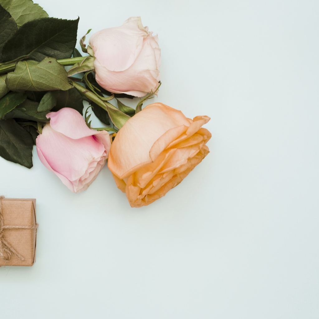 Три розы и подарок на сером фоне